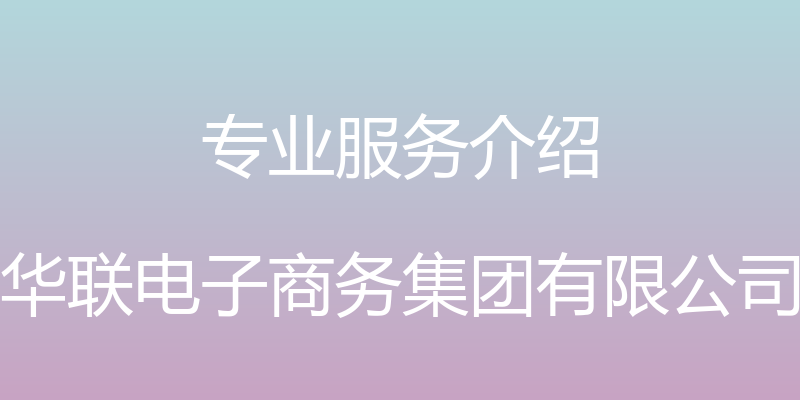 专业服务介绍 - 华联电子商务集团有限公司