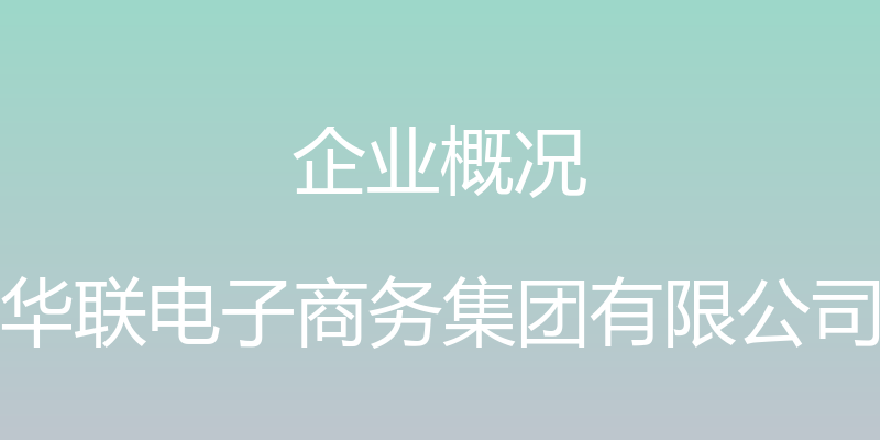 企业概况 - 华联电子商务集团有限公司