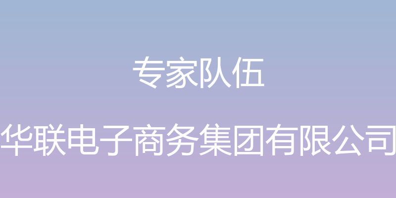 专家队伍 - 华联电子商务集团有限公司